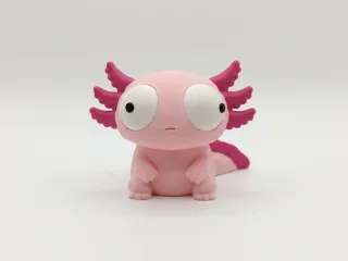 Goofy Axolotl photo 2