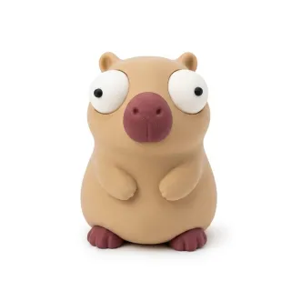 Goofy Capybara photo 2