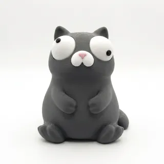 Goofy Cat photo 2