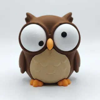 Goofy Owl photo 2