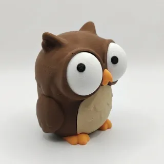 Goofy Owl photo 3